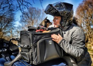 Photo of woman standing next to Rover on Black motorcycle kissing dog popping out